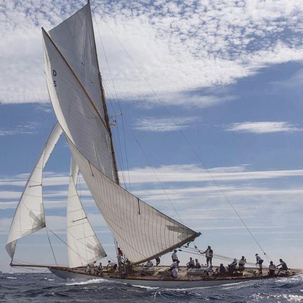 Les Voiles de Saint Tropez